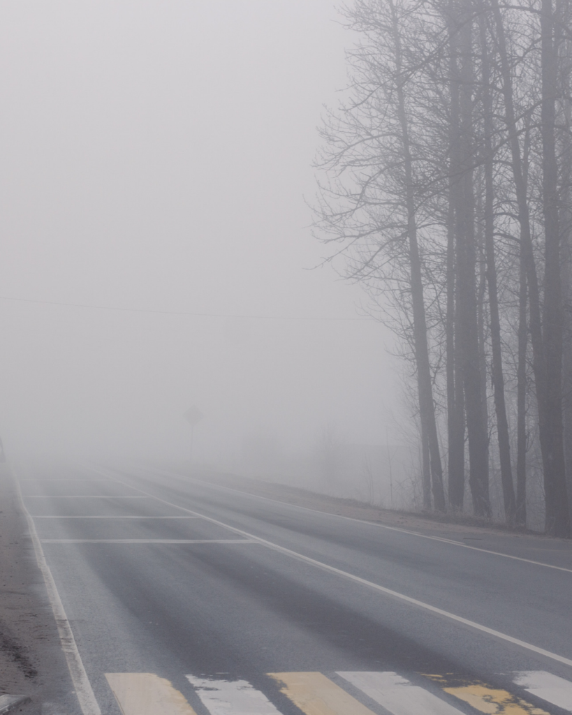 A quiet road disappearing into thick grey fog. A pedestrian crossing with faded white and yellow stripes sits in the foreground, a half-crossed threshold, and the lane markings fade into the mist. Tall, bare trees stand in a line along the right-hand side, their branches soft and ghostly. A road sign and an overhead wire are only faintly visible in the distance, where the road, the sky and the land blur into one. The fog and the threshold echo the mist and in-between places of the poem The Wider Existence.