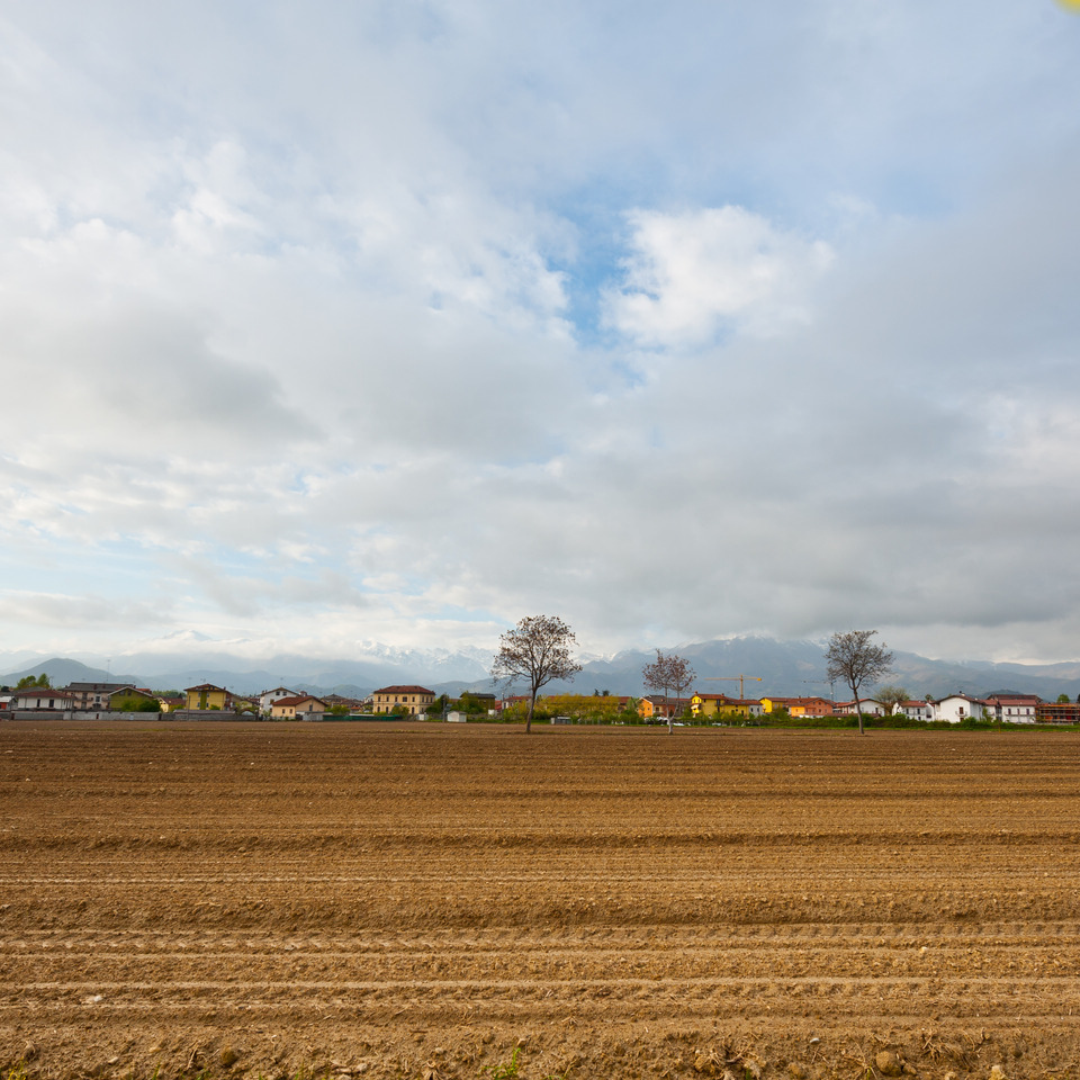 The Fallow Field: Rest as a Freedom Practice